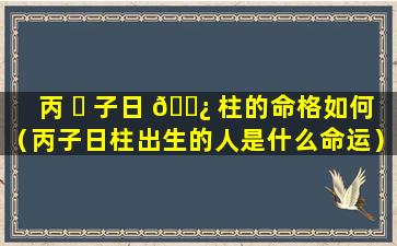 丙 ☘ 子日 🌿 柱的命格如何（丙子日柱出生的人是什么命运）